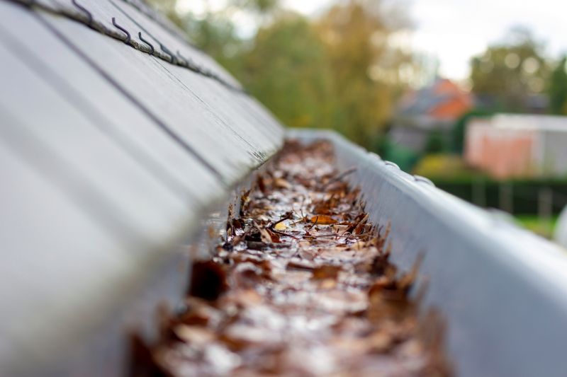 Close-up of Gutter Debris