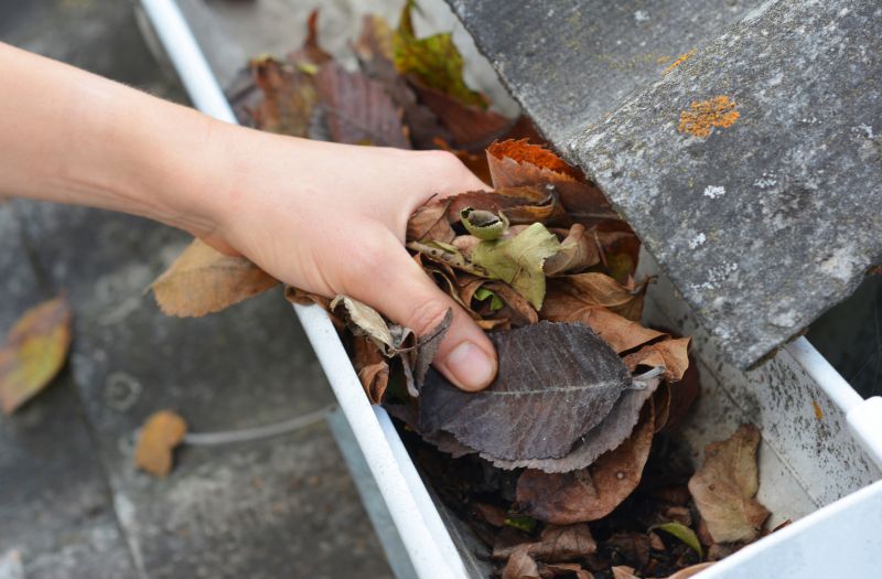 Gutter Cleaning Services