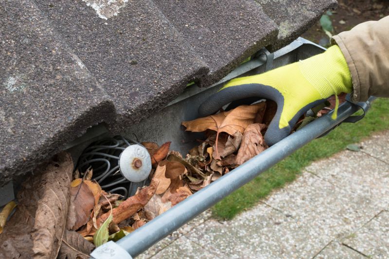 Clearing Debris from Gutters